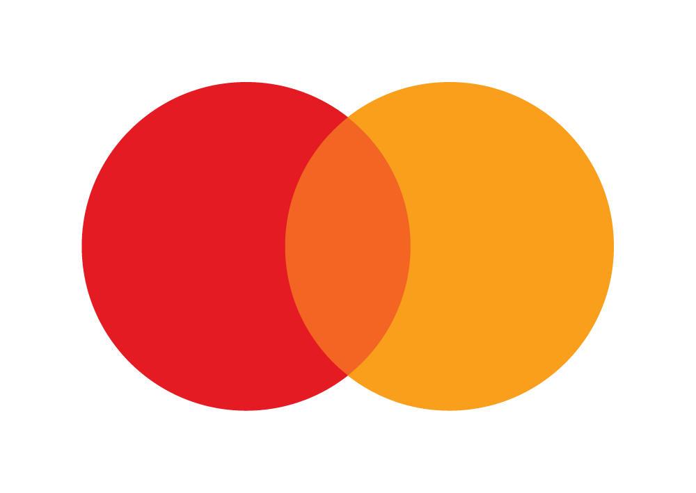  visa logo